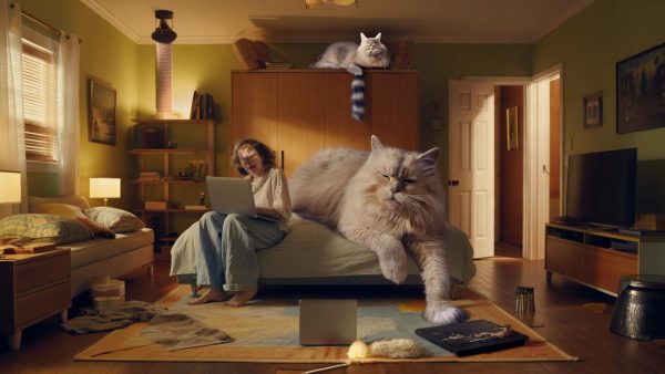 The Shocking Truth: Your Cat Actually Runs Your Entire Household