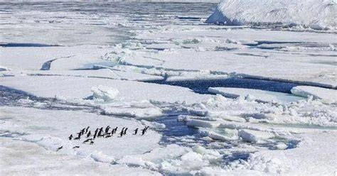 The Untouched Sanctuary: Antarctica’s 34-Million-Year-Old Buried Treasure Unleashes a Fierce Scientific Showdown