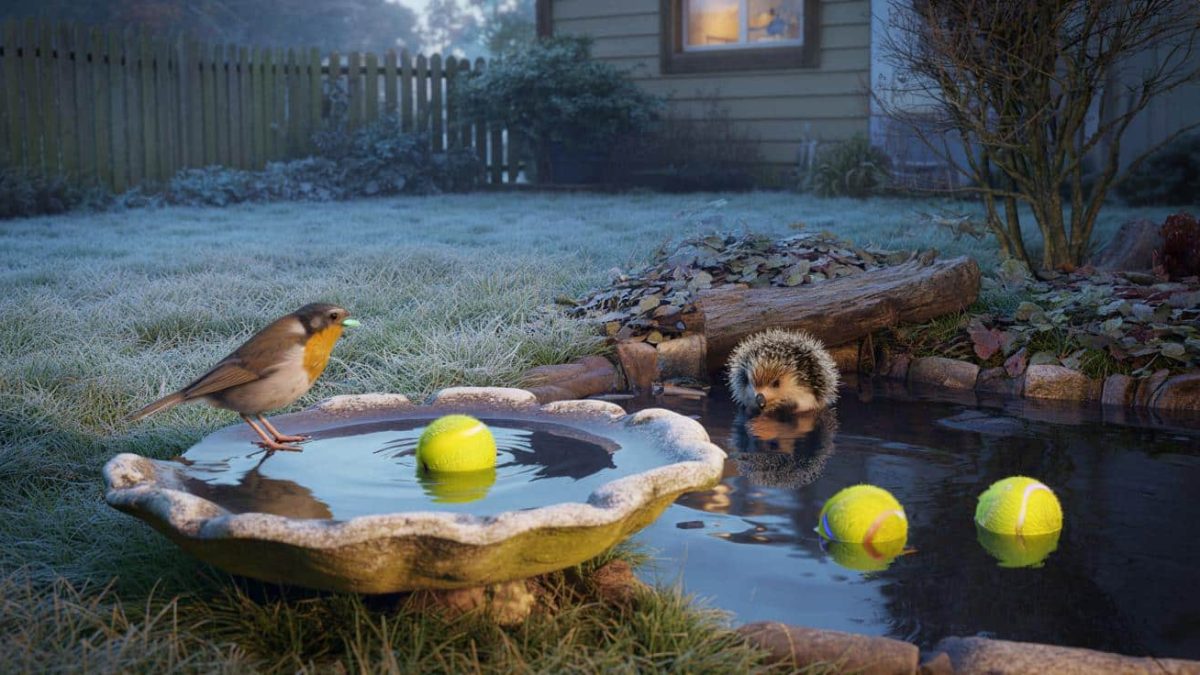 This Simple Trick Can Save Thousands of Birds and Hedgehogs This Winter (You Won’t Believe What It Is!)