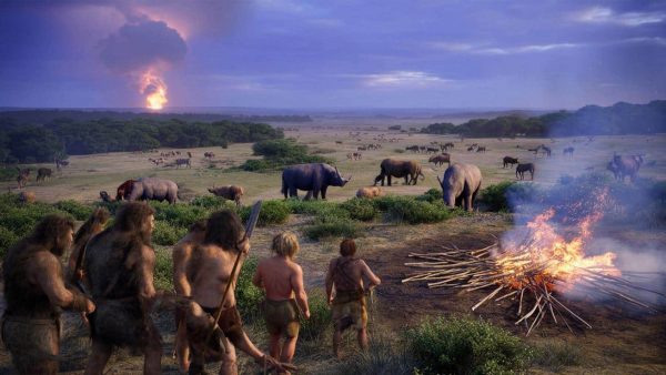 Shocking Revelation: Ancient Humans Left a Colossal Footprint on Europe’s Forests – You Won’t Believe What They Did!