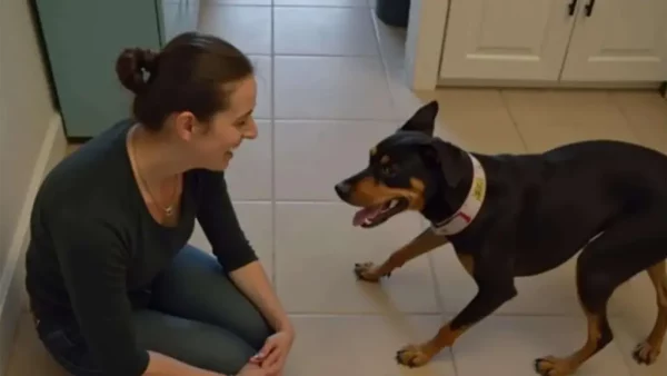 You Won’t Believe What Happened When This Neighbor Realized the Abandoned Dog Next Door Was Left Behind After the Move – The Ending Is Heartbreaking