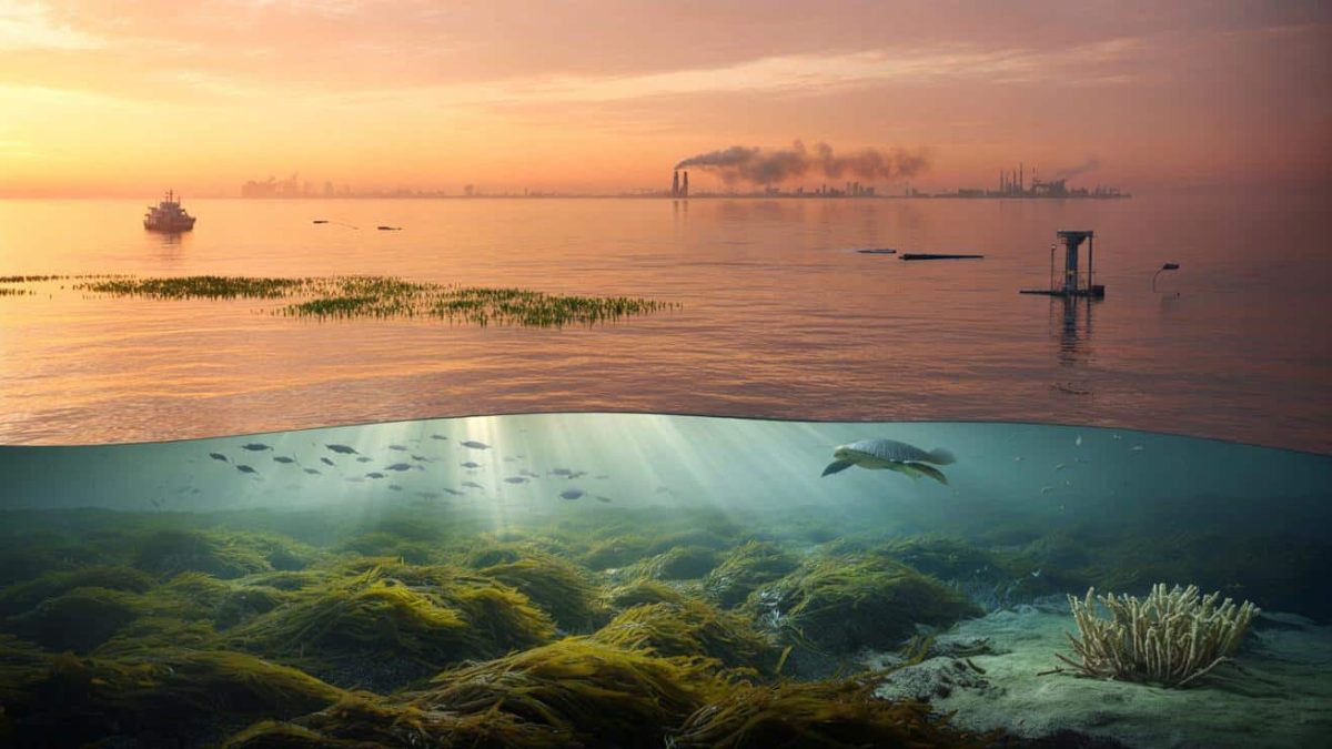 The Ocean’s Untapped Potential: Saving the Planet or Risking Ecological Disaster?