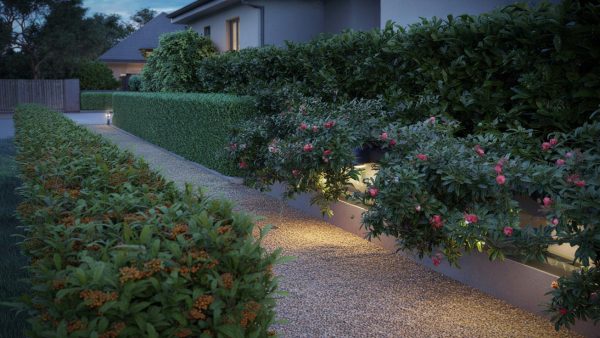 Burglars: the 4 plants to install before your holidays to turn your garden into a thorny barrier