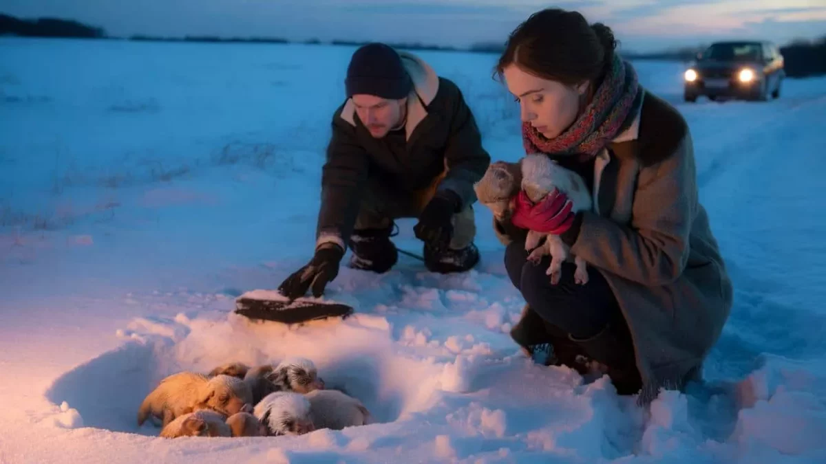 Couple’s Chilling Discovery Buried in Snow Sparks Rescue Mission to Save Newborn Puppies Clinging to Life