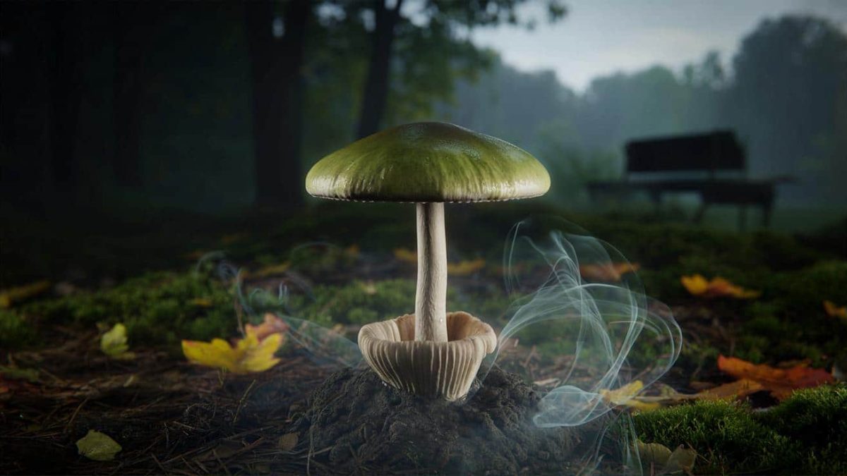 The Secret Toxins Lurking in the Deadliest Mushroom on Earth
