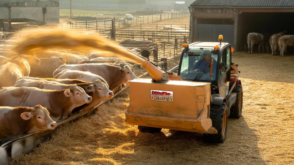 The Incredible 20-Year Journey of Fabien Fortier’s Trusty Deboffles Straw Blower