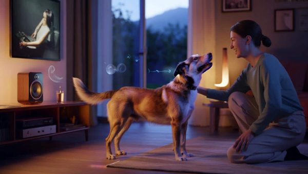 The Surprising Connection Between Dogs, Music, and an Ancient Evolutionary Mystery