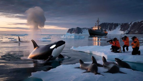 You Won’t Believe What’s Happening in Greenland Right Now!