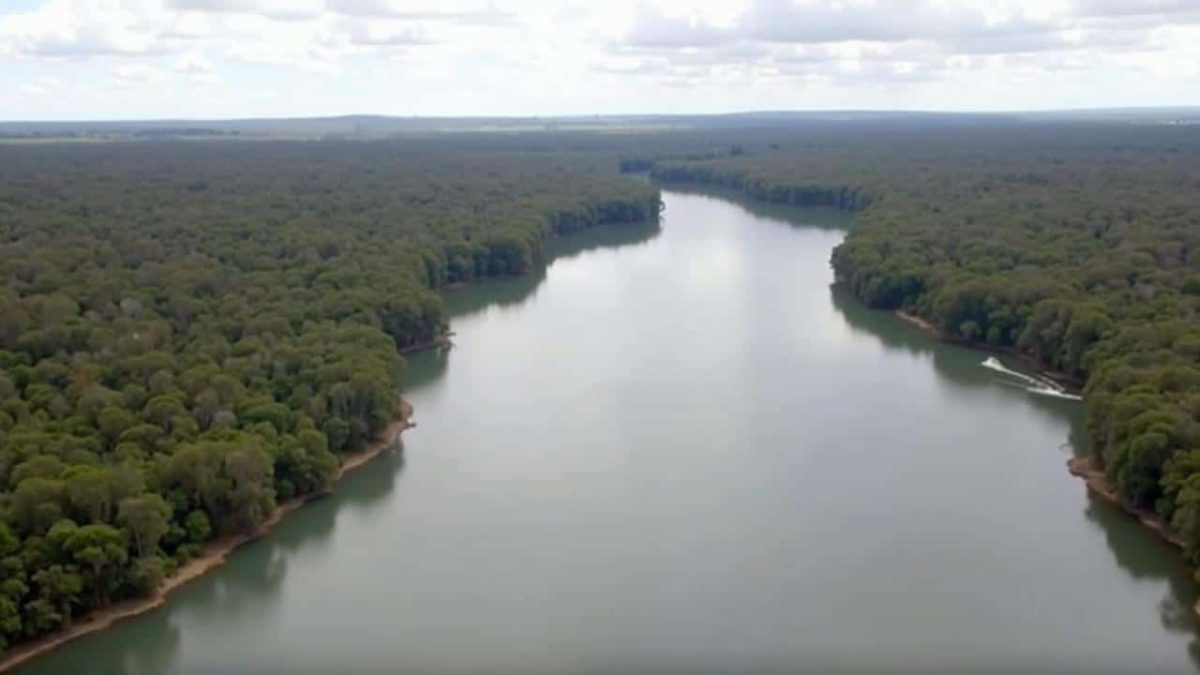Experts on alert: Australia’s largest river on the brink of collapse from invasive species
