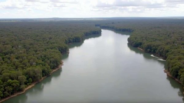 Experts on alert: Australia’s largest river on the brink of collapse from invasive species
