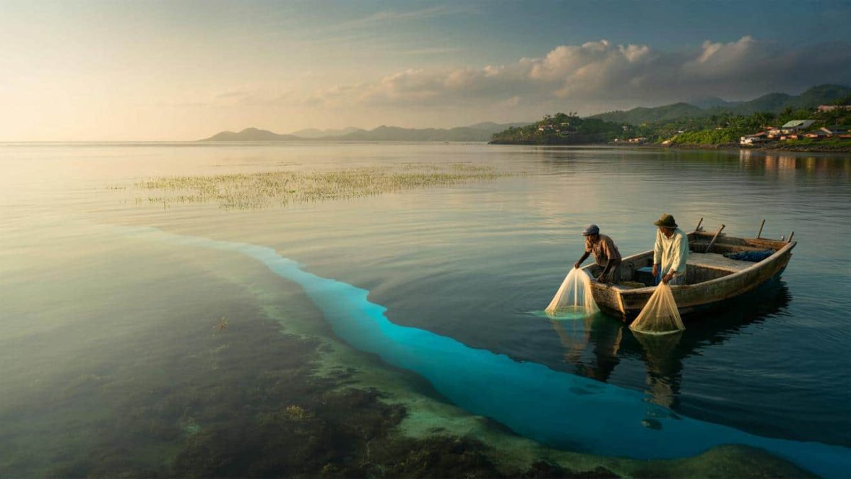 Shocking Discovery: Panama’s Deep Waters Defy Decades-Old Patterns