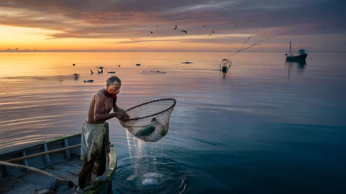 The Shocking Disappearance of Panama’s Vibrant Seas: What Experts Reveal Will Shock You