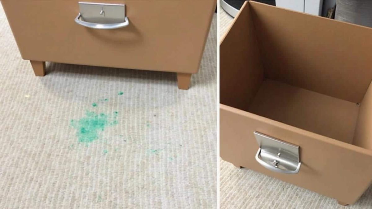 Furniture marks on the carpet: this freezer trick leaves everything looking new in 10 minutes