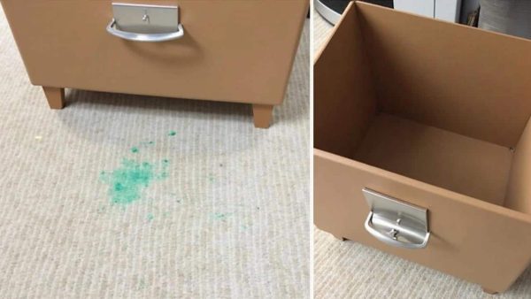 Furniture marks on the carpet: this freezer trick leaves everything looking new in 10 minutes