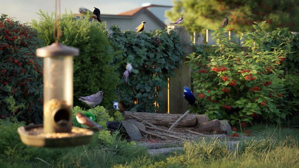 I Stopped Filling Bird Feeders – And My Garden Suddenly Filled With Birds