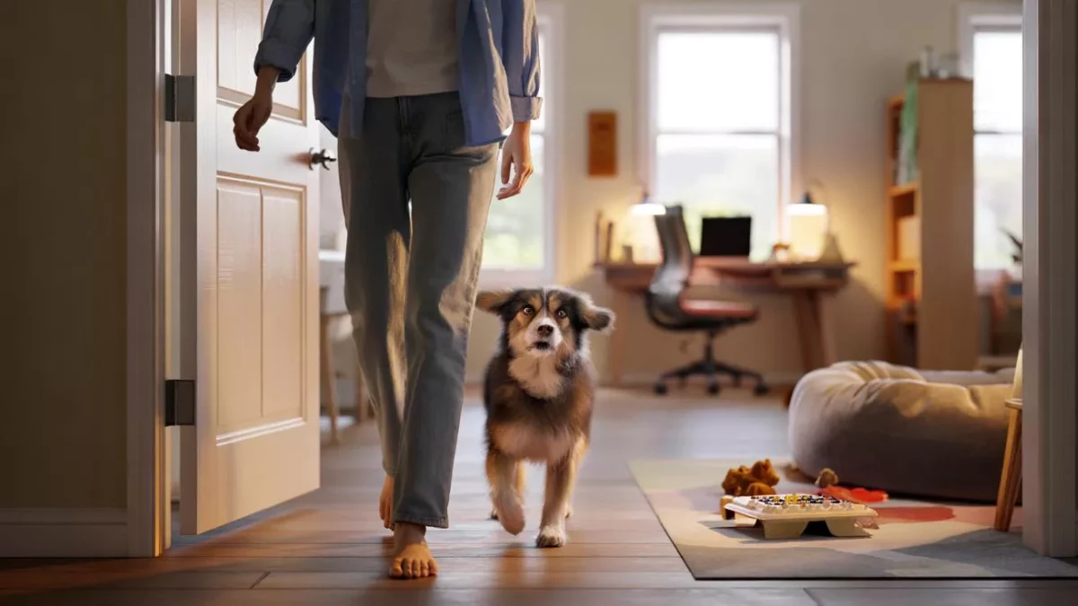 Shocking Truth: Why Your Dog Won’t Leave Your Side (and What It Really Means)