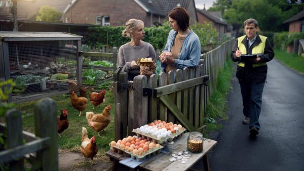 Many people don’t realise, but selling your hens’ eggs to neighbours can land you in serious trouble – here’s why