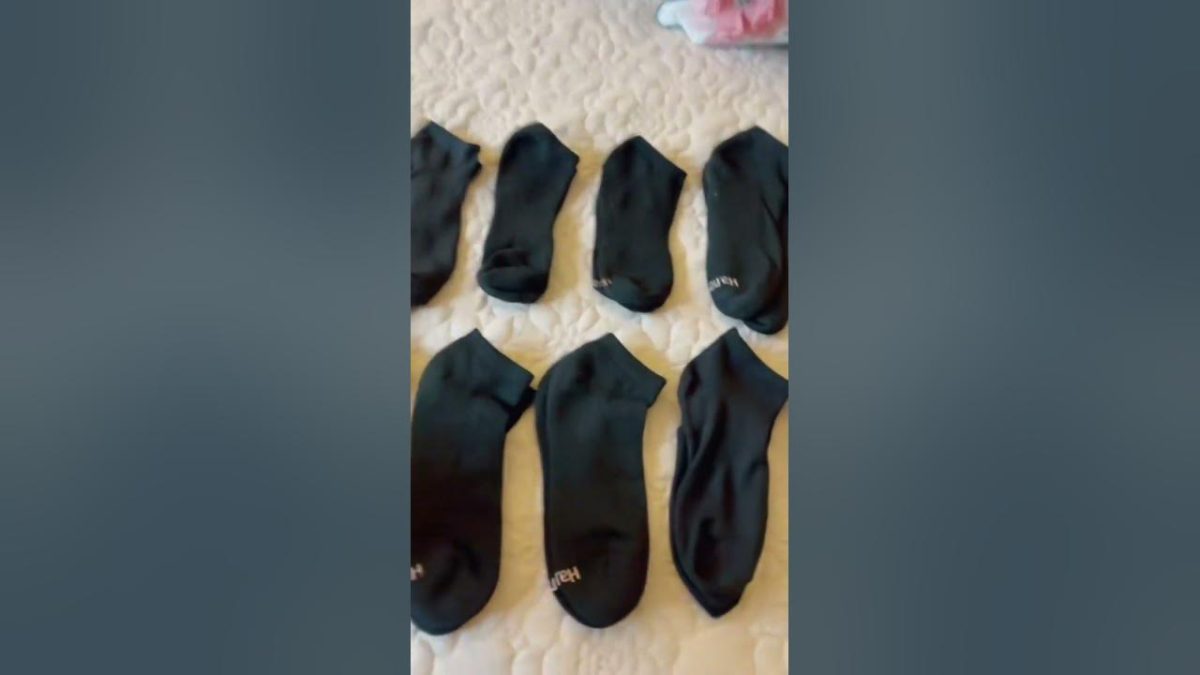 The Shocking Truth About the Viral Sock Hack That’s Dividing Drivers Nationwide
