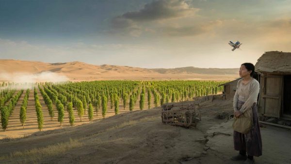 The Green Wall That’s Stopping China’s Deserts—And Sparking a Heated Debate