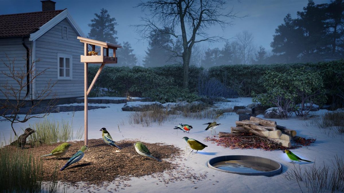 Northern countries use this method to protect birds without making them dependent