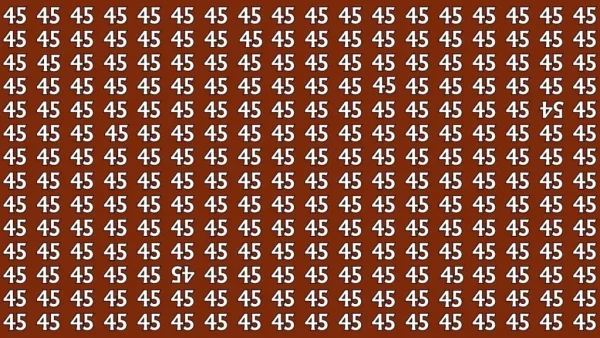 Unbelievable 6-Second Challenge! Can You Spot the Hidden Numbers in This Mind-Bending Optical Illusion?