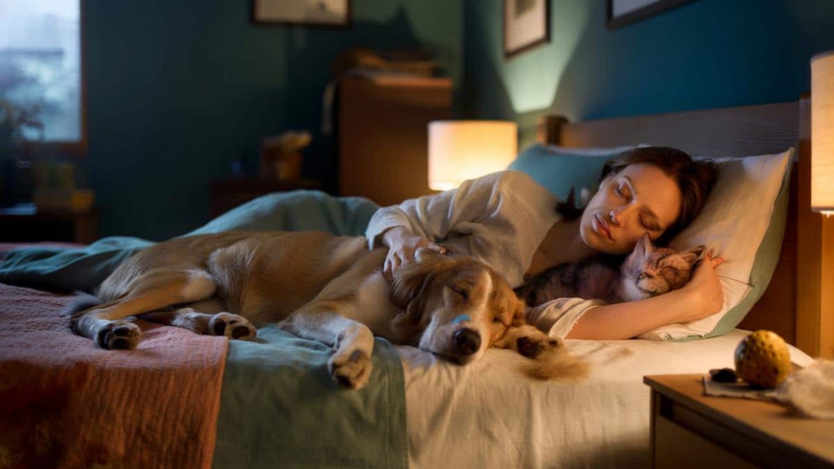 10 Surprising Strengths You Gain When You Sleep With Your Pet (Backed by Psychology)