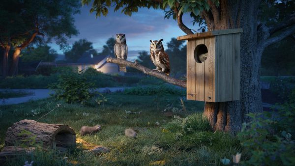 Save the owls, they need you and this simple gesture is enough