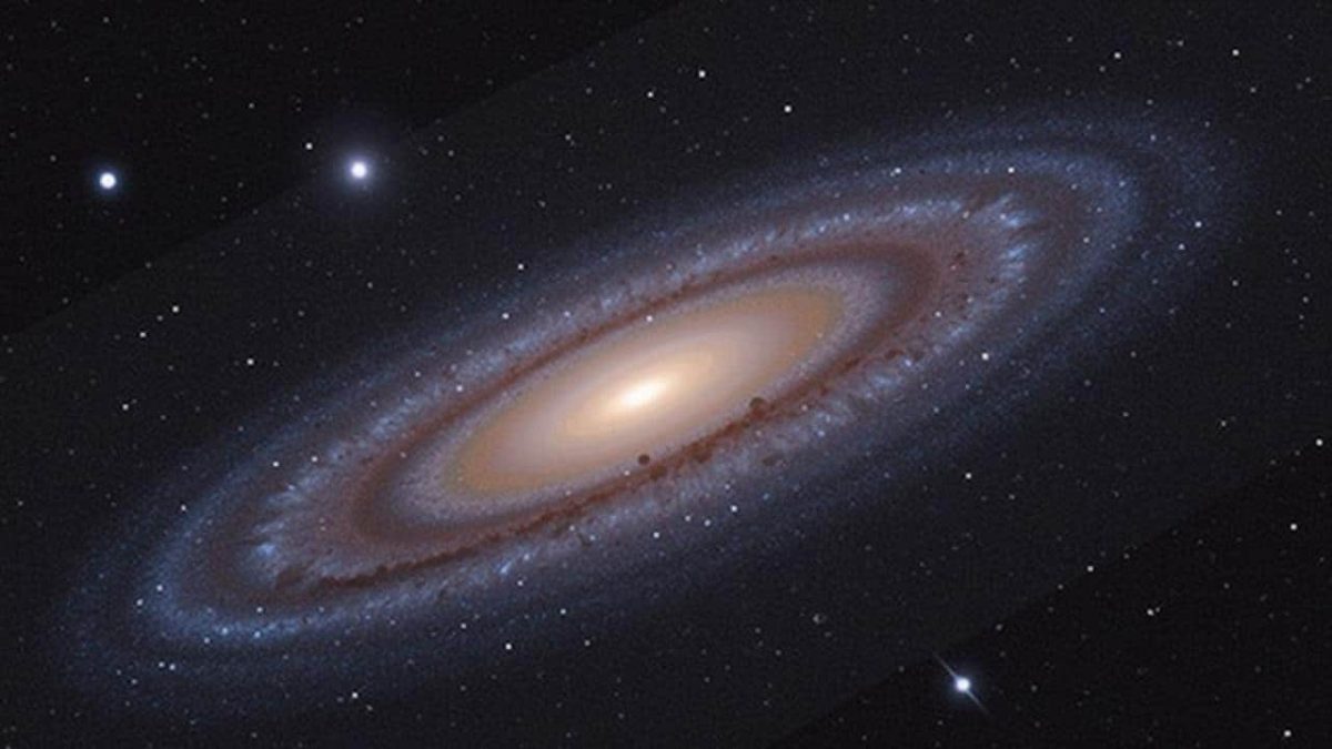You Won’t Believe What They Found in the Night Sky!