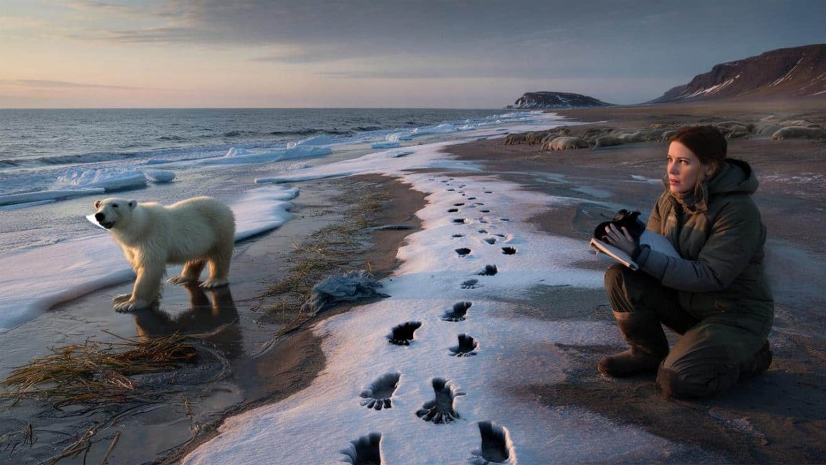 Scientists warn shifting wildlife patterns may signal deeper environmental transformations in fragile Arctic zones