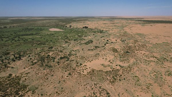 NASA Satellites Confirm That China’s Great Green Wall Is Slowing the Desert But Critics Say It’s an Ecological Mirage That Will Backfire for Millions