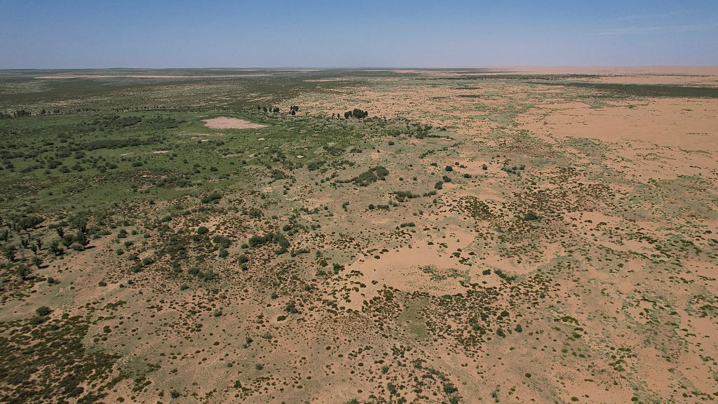 NASA Satellites Confirm That China’s Great Green Wall Is Slowing the Desert But Critics Say It’s an Ecological Mirage That Will Backfire for Millions
