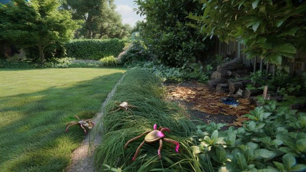 These common garden plants attract ticks like a magnet