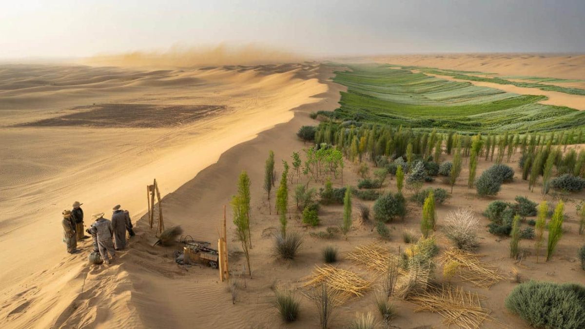 Shocking Secrets of China’s Massive Tree-Planting Mission to Halt the Relentless Desert