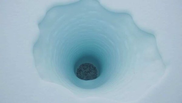 Unexpected discovery: thousands of nests found beneath Antarctic ice