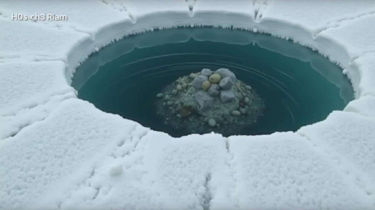 Unexpected discovery: thousands of nests found beneath Antarctic ice sparks fierce debate among scientists and climate skeptics