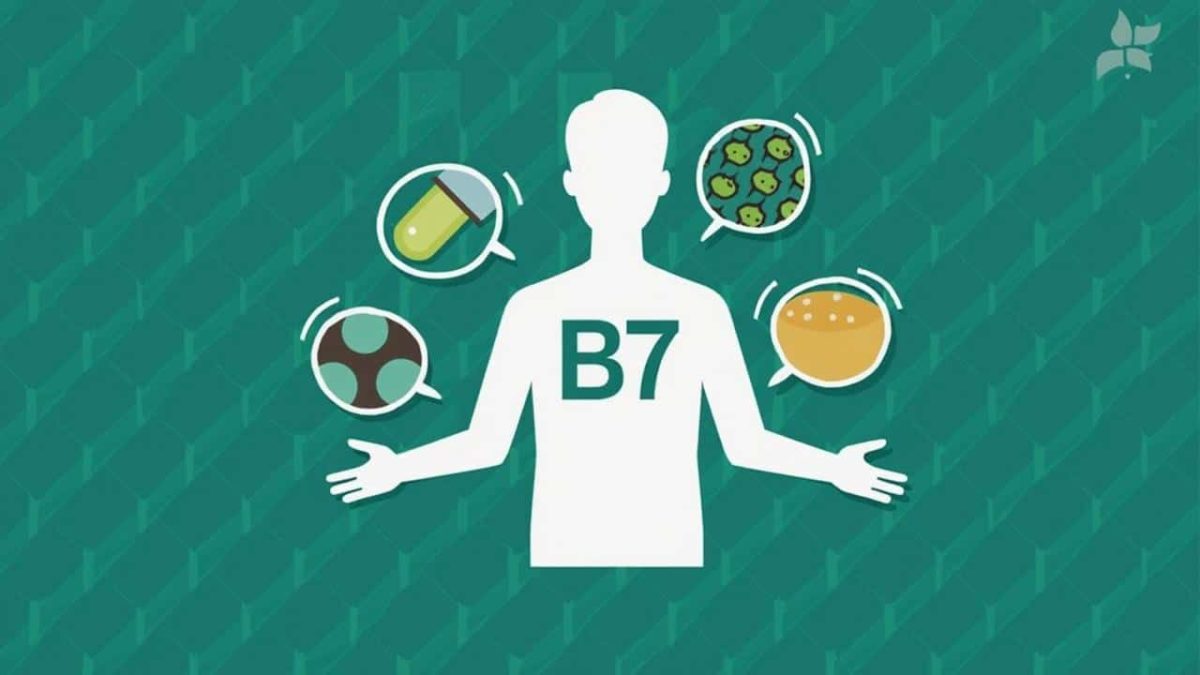 Vitamin B7 Becomes A Key Piece In Understanding Cancer Resistance