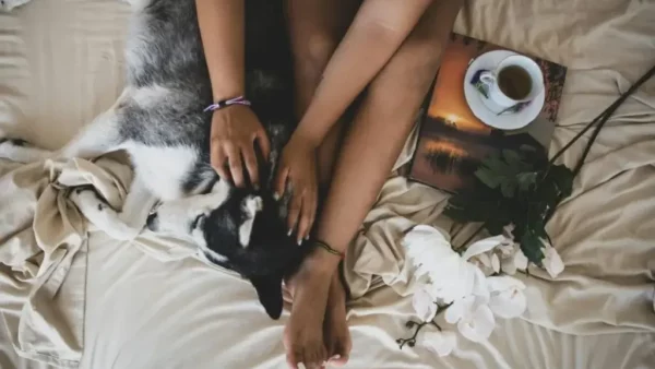Psychologists say the bond between a person and the dog that sleeps in their bed isn’t comparable to human attachment. It’s actually more stable, because the dog never withdraws affection as punishment, never keeps score, and never makes closeness conditional on performance
