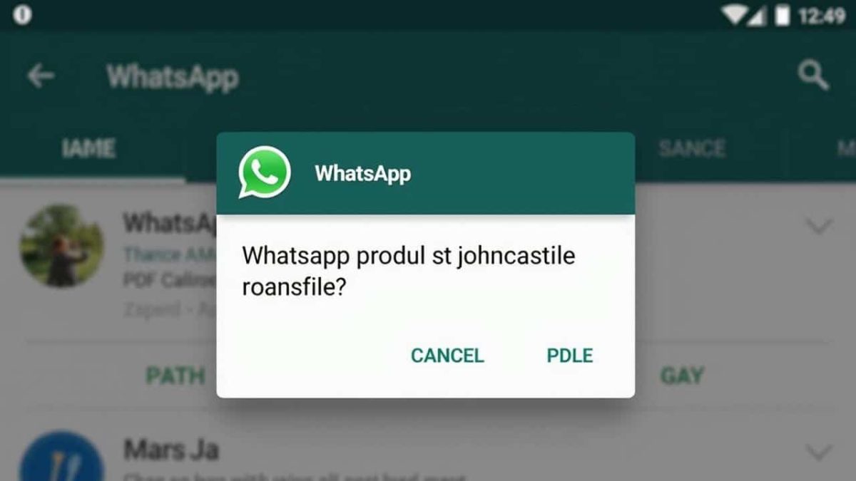 WhatsApp: this new paid system could irritate millions of users