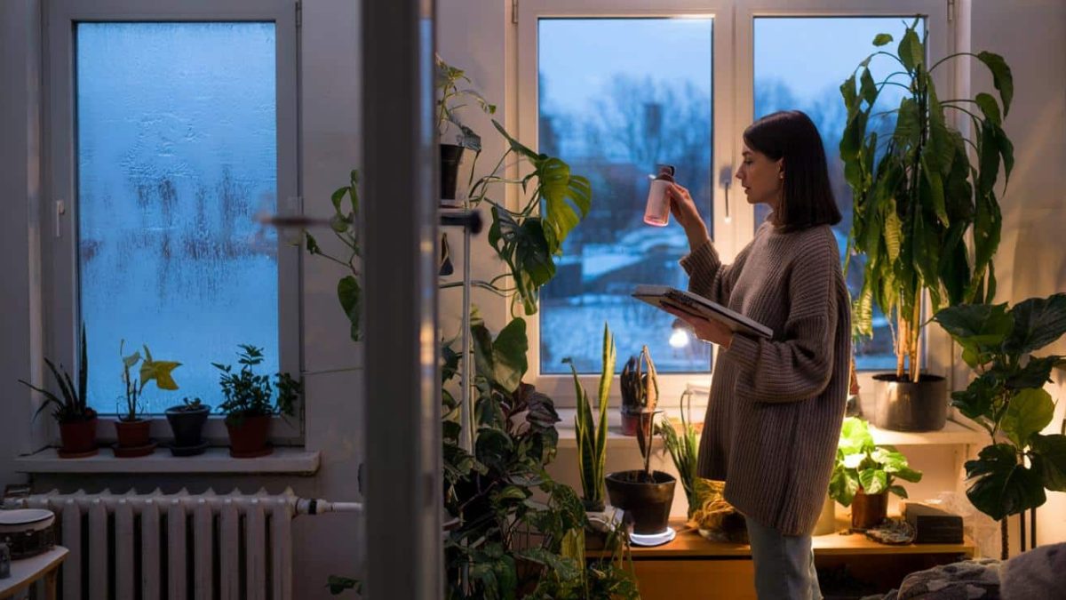 The Secret Winter Ritual That Keeps Your Plants Thriving (You Won’t Believe #5!)