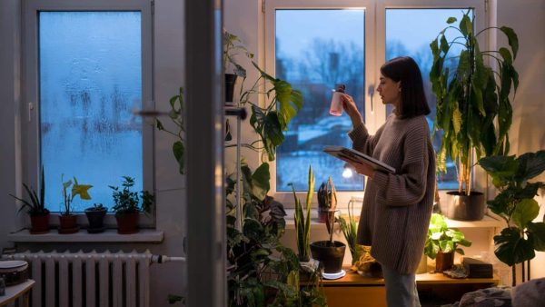 The Secret Winter Ritual That Keeps Your Plants Thriving (You Won’t Believe #5!)