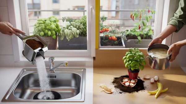 You’re unknowingly starving your plants while throwing away what feeds them