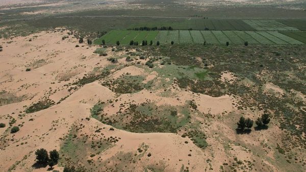 Shocking Satellite Images Reveal China’s Unstoppable Green Wall Halting Desert Expansion – You Won’t Believe the Impact!