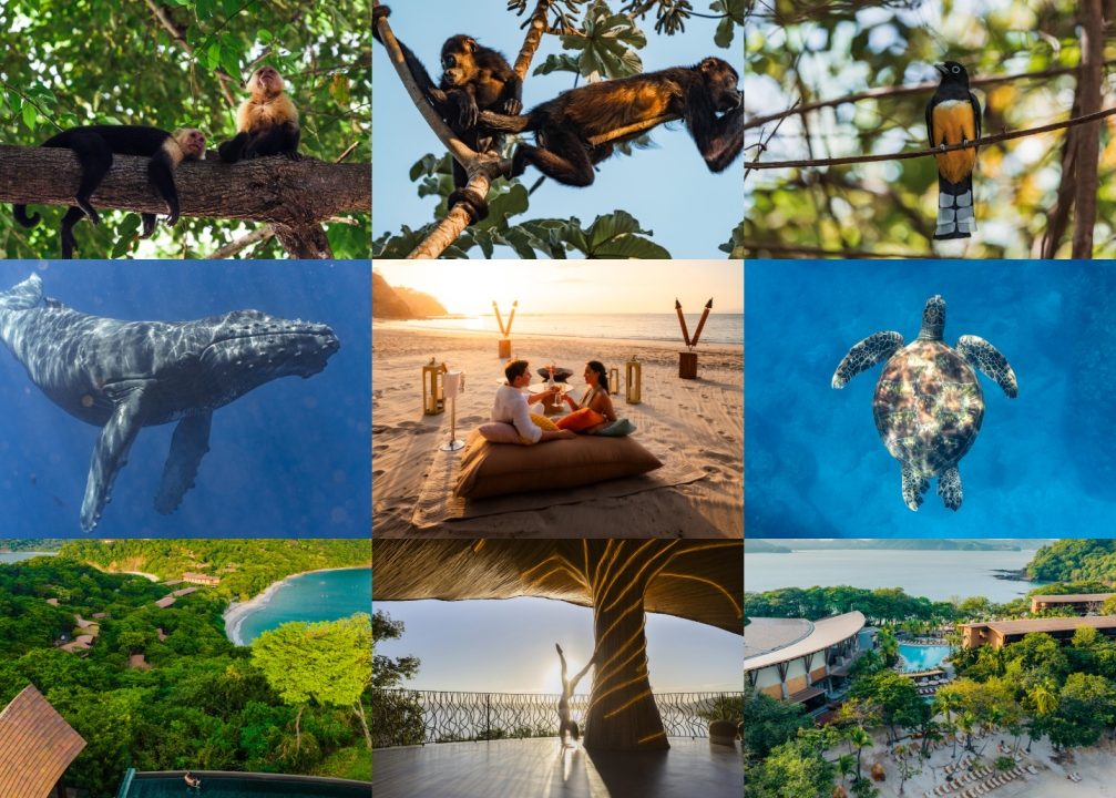 Unbelievable Secrets About Costa Rica’s Nature Revealed at the Four Seasons Resort Peninsula Papagayo