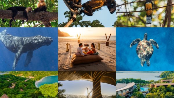 Unbelievable Secrets About Costa Rica’s Nature Revealed at the Four Seasons Resort Peninsula Papagayo