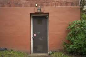 The Shocking Secret Behind the Hidden Door in My Basement – You Won’t Believe What I Found!