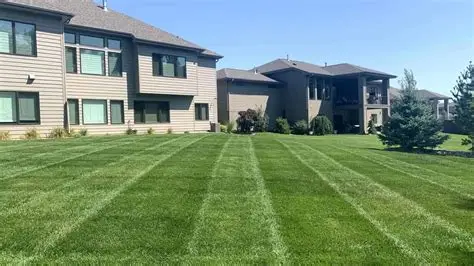 Shocking New Lawn Mowing Ban Sparks Outrage: Homeowners Revolt Against “Draconian” Rules