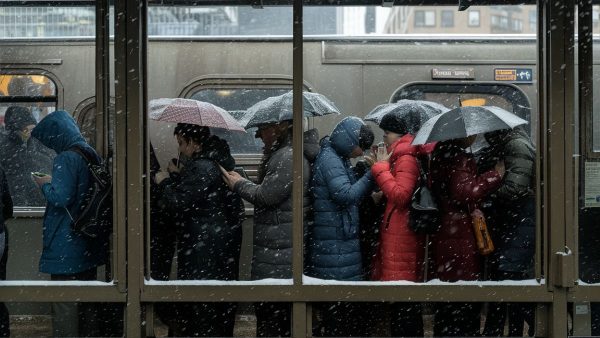 Shocking Secrets About NYC’s Subway and Bus Recovery You Won’t Believe