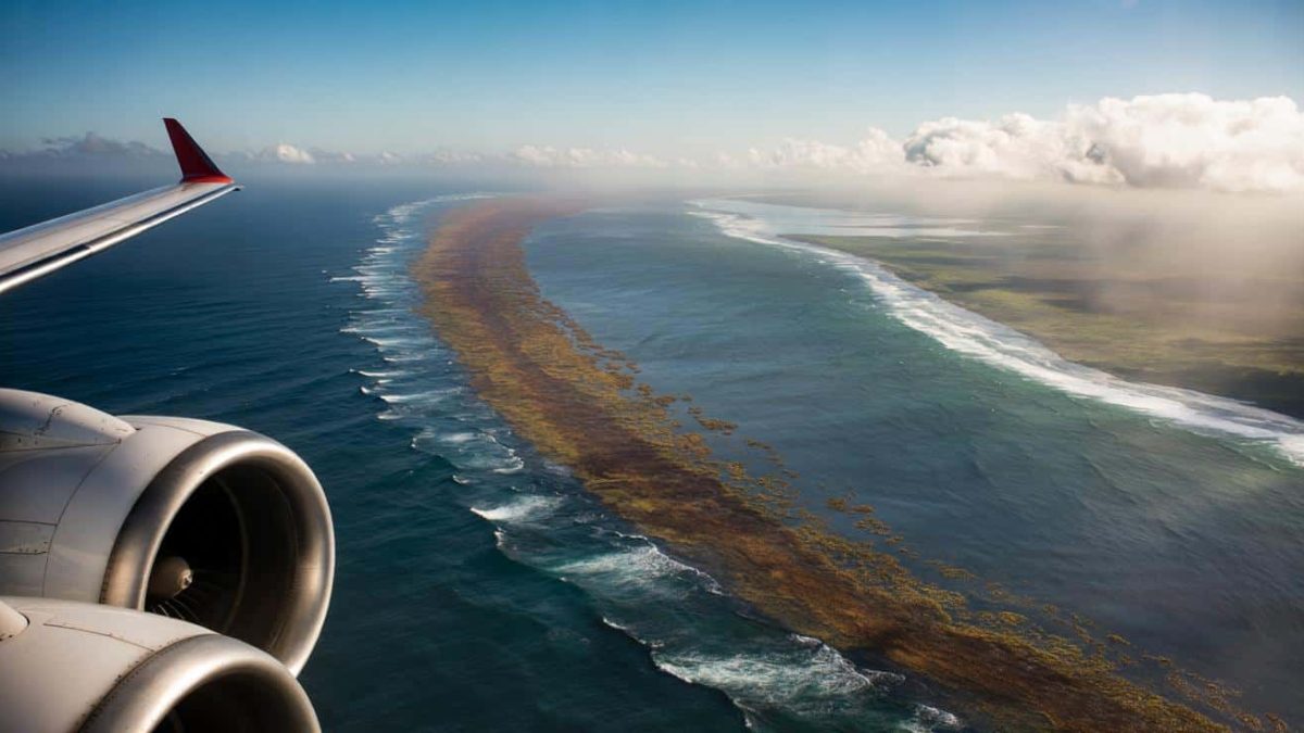 Shocking Discovery: Mysterious Ribbon Across the Atlantic Sparks Oceanic Alarm