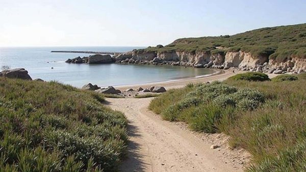 Uncover the Quaint Fishing Town in Portugal That’s a Hidden Gem for Savvy Travelers