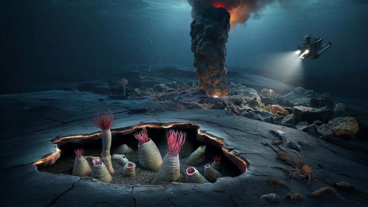 Unbelievable Discovery: Massive Worms Hiding Under the Ocean, Experts Left Speechless!